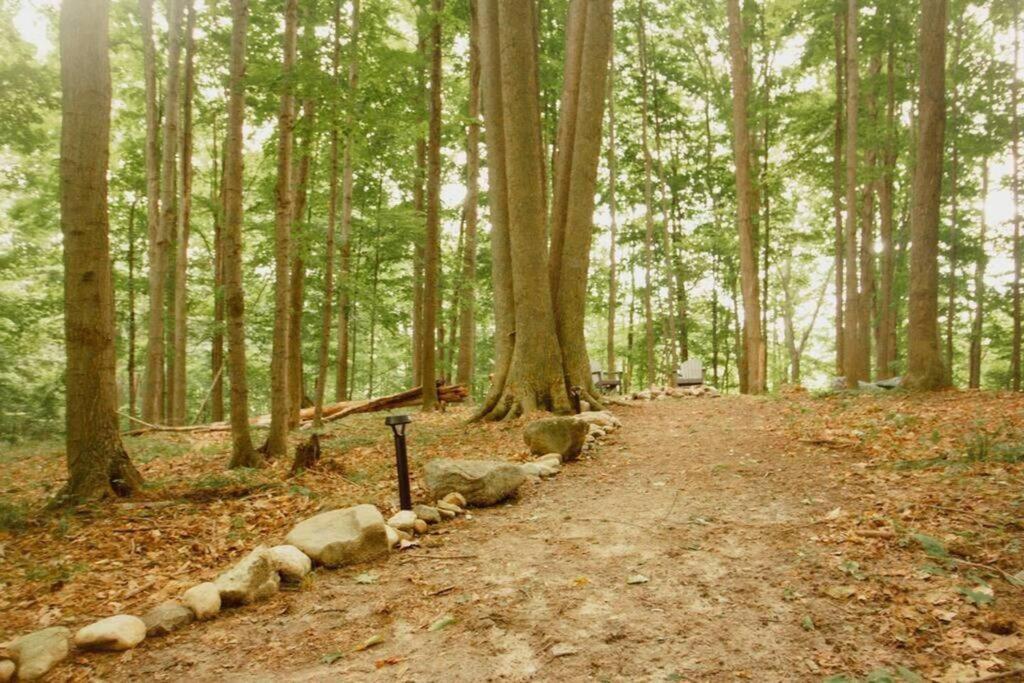 Wilderness Vista Retreat Βίλα Reed City Εξωτερικό φωτογραφία